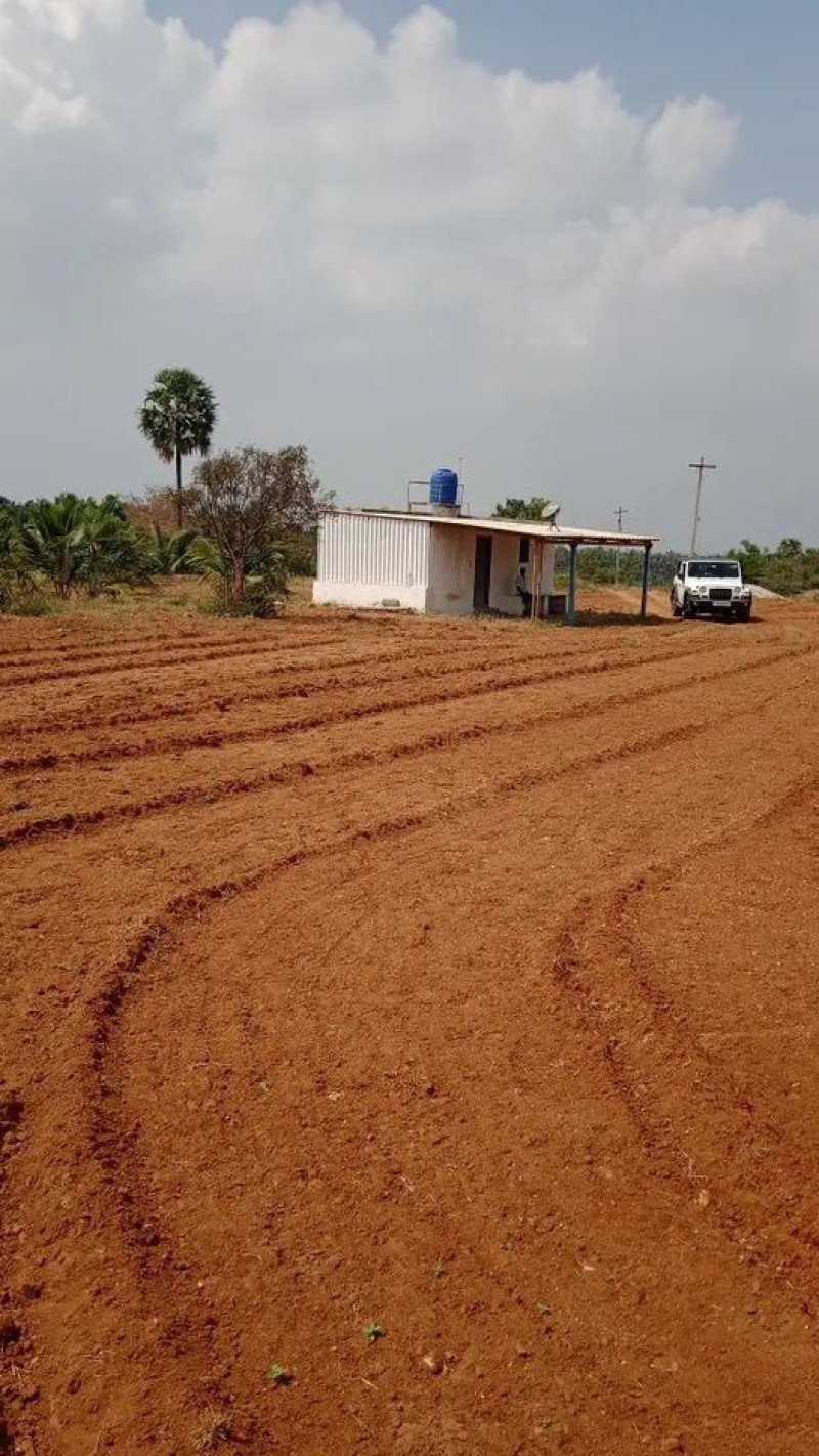 75 Cent Land for Sale