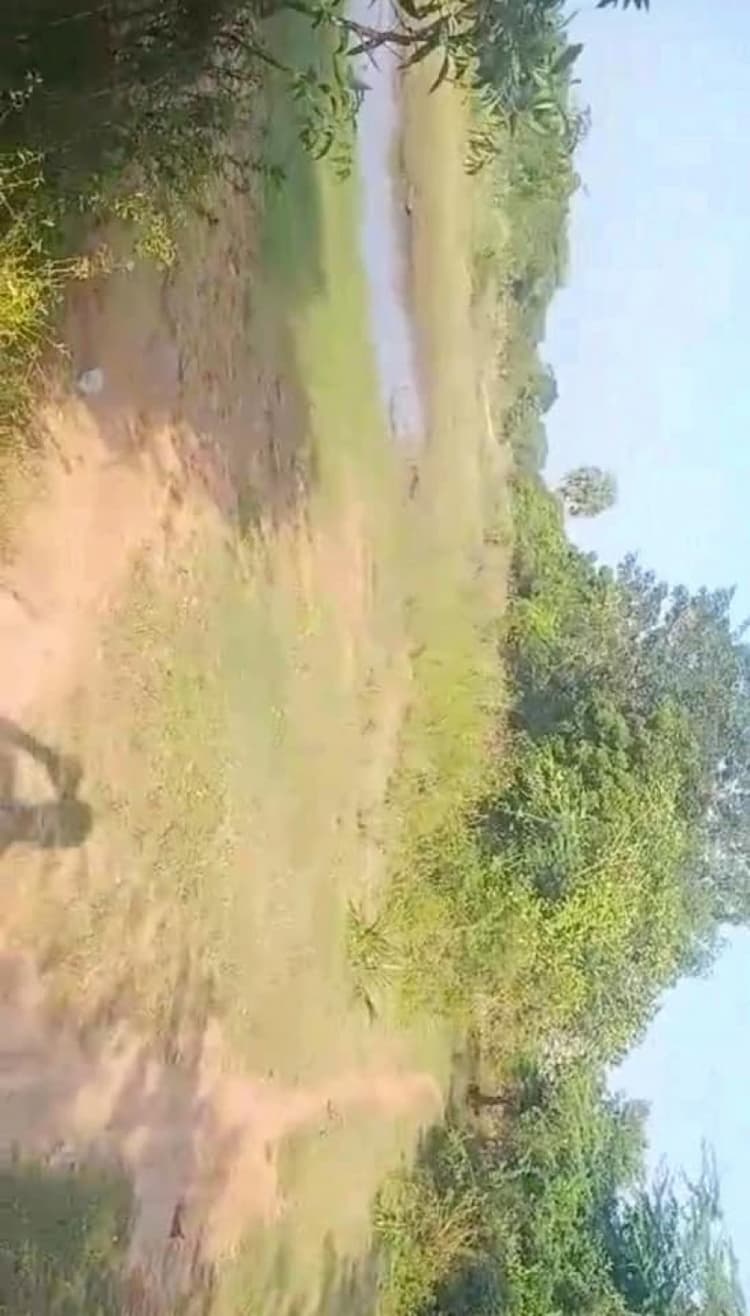 Punjai Land For Sale