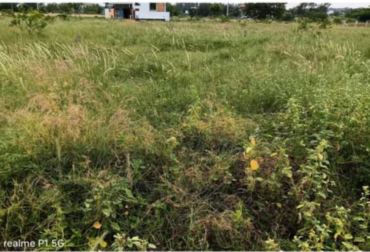 Land for sales