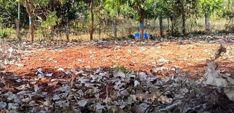 Land for sales