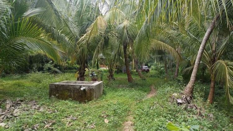 Single Property Image