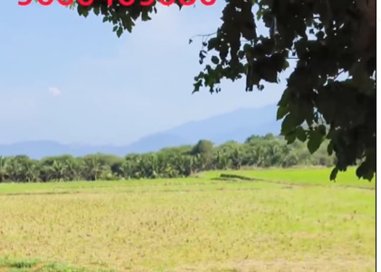 Land for sales