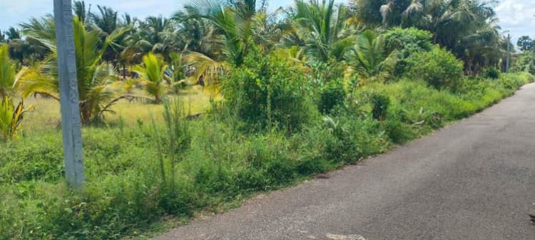 Single Property Image