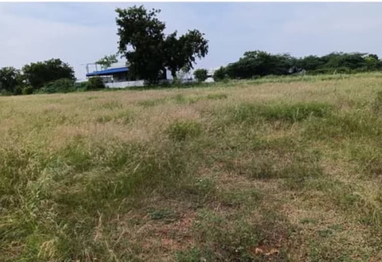 Land for sales