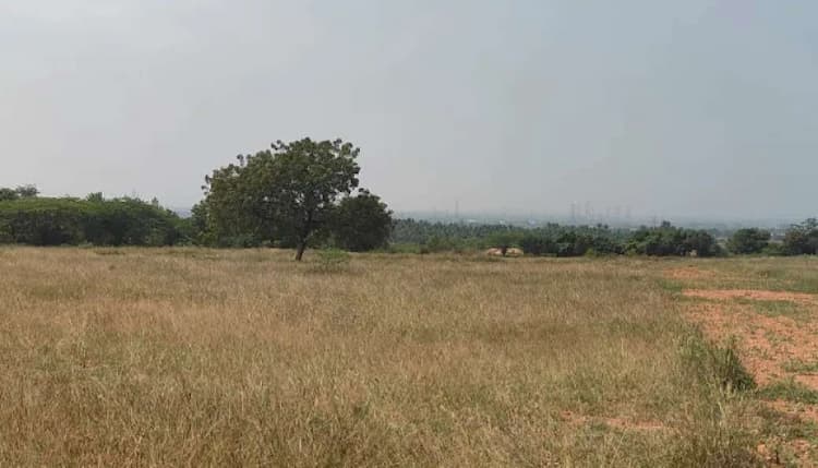 Land for sale