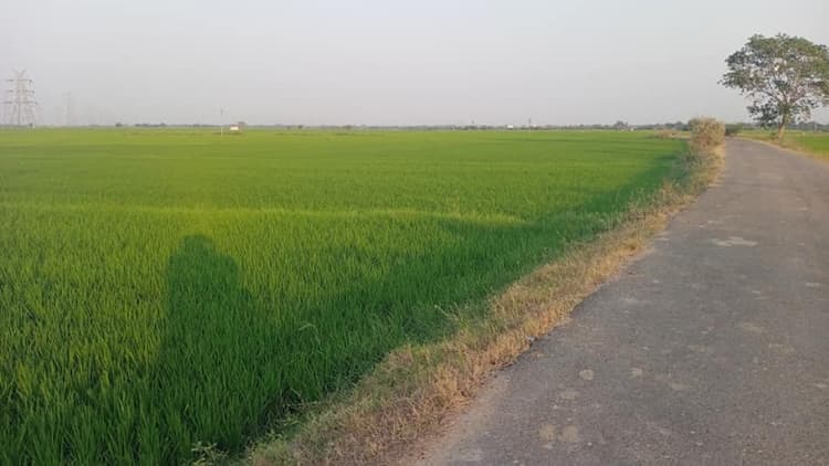 agri land for sale 