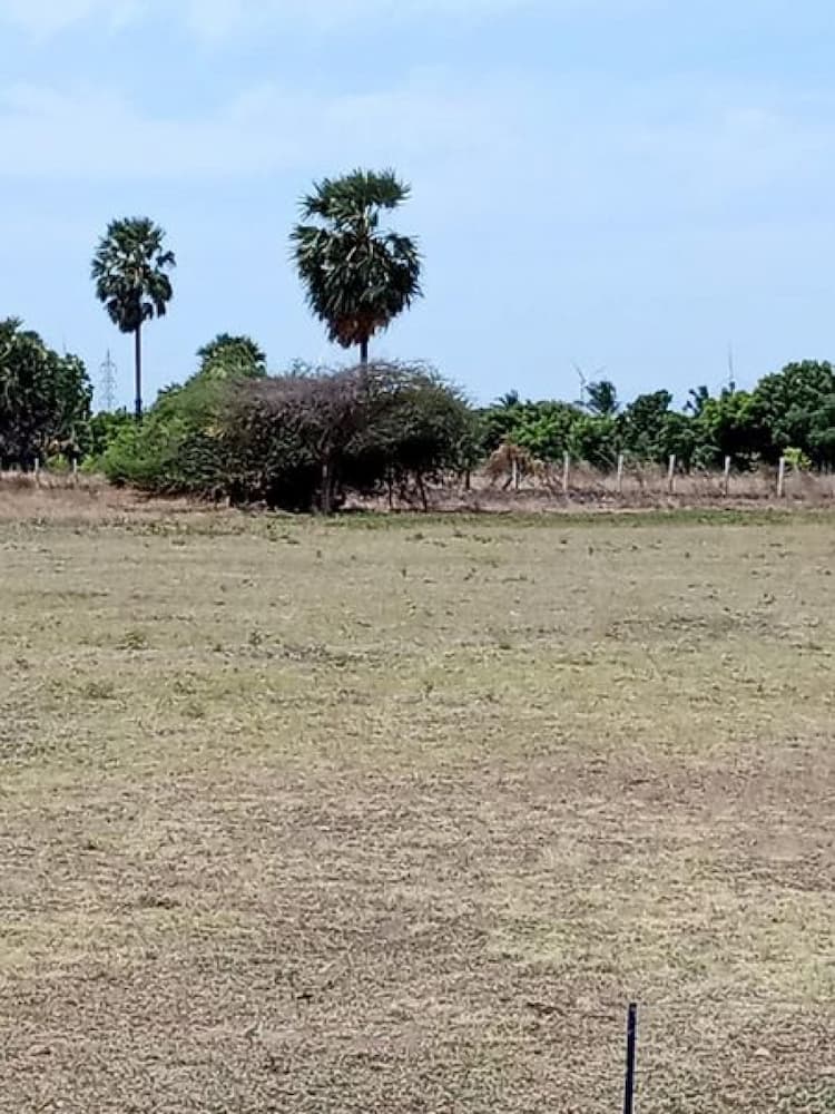 Plot sale