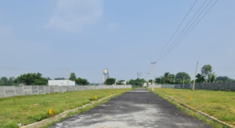 Land for Sale