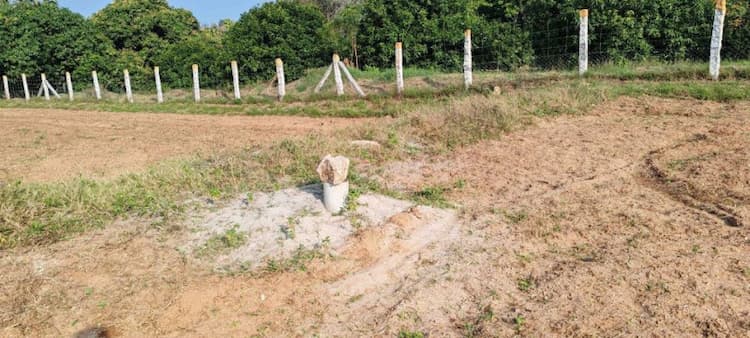 2.2 acre coconut farm for land