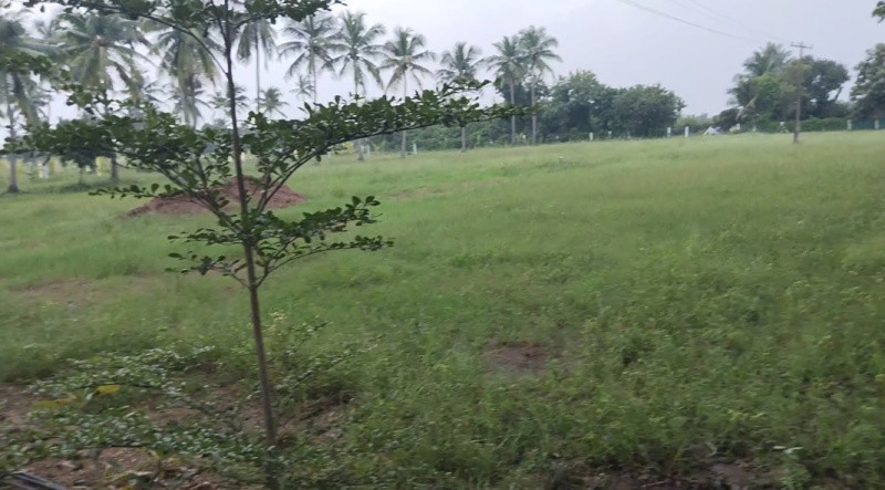 Land sale