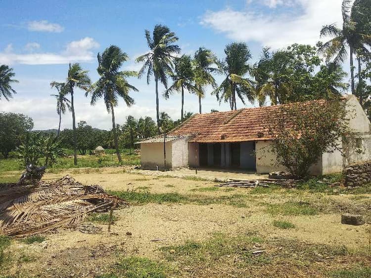 Agricultural Land