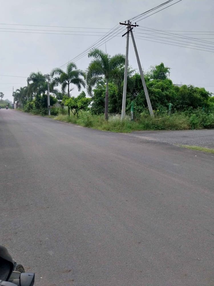 plot for sale 