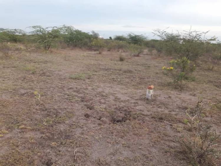 Plot sale