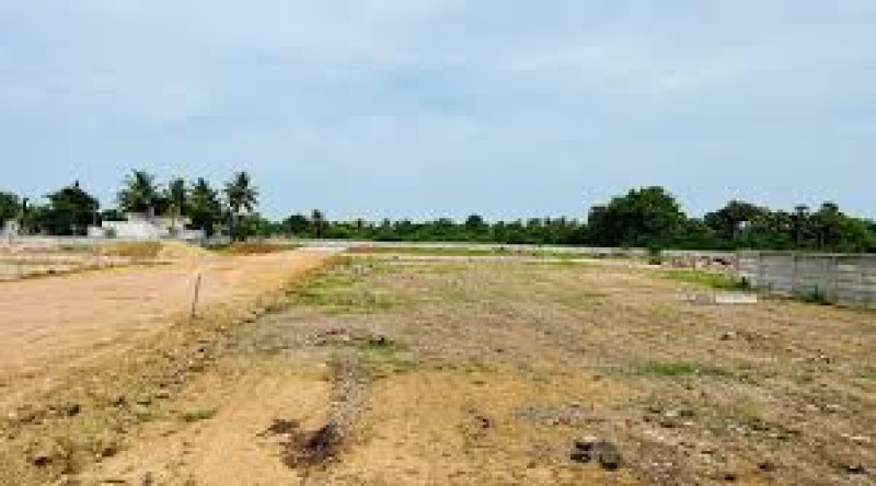 Residential Plot