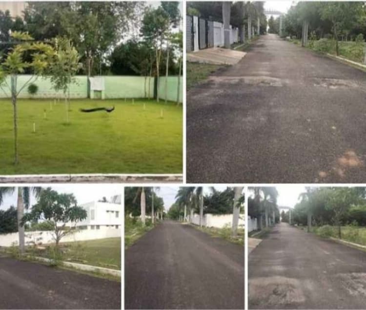 Land for Sale