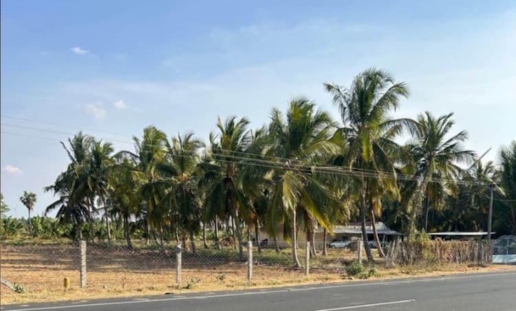 Land for Sale