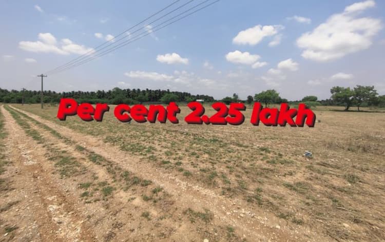 Land for Sale