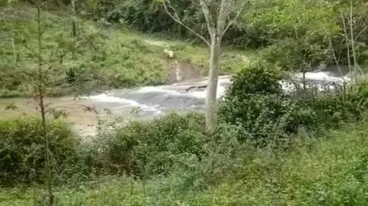 Farm Land For Sales