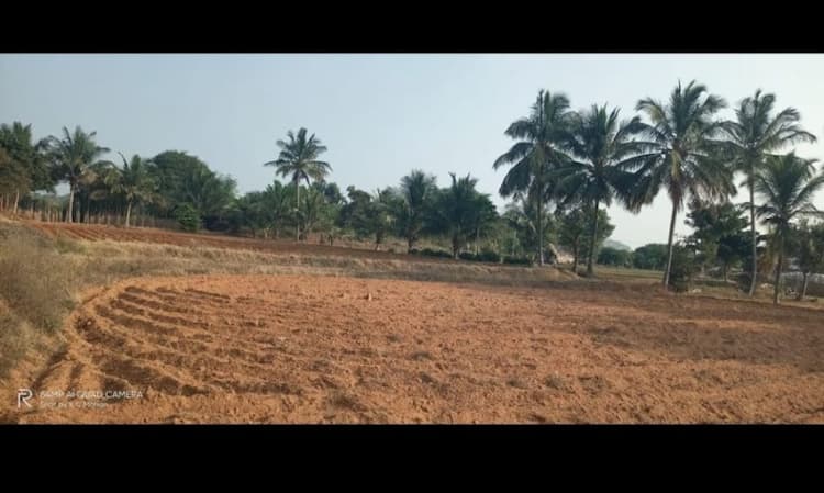Plot for sale