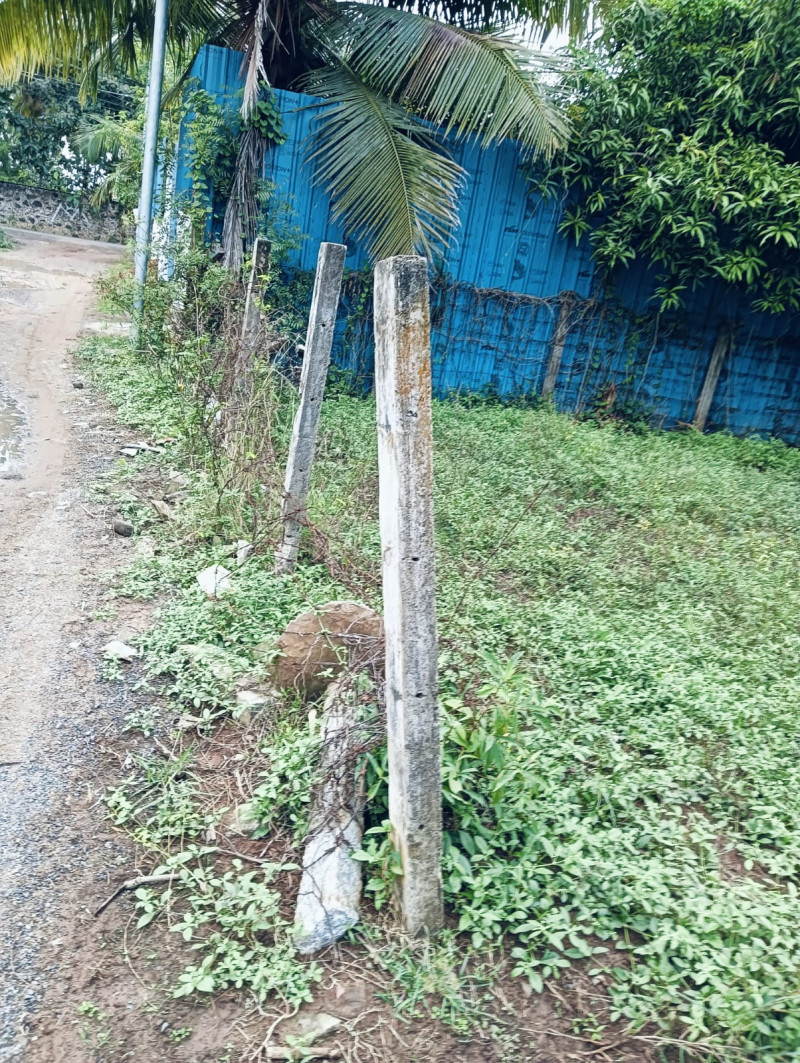 Plot for sale
