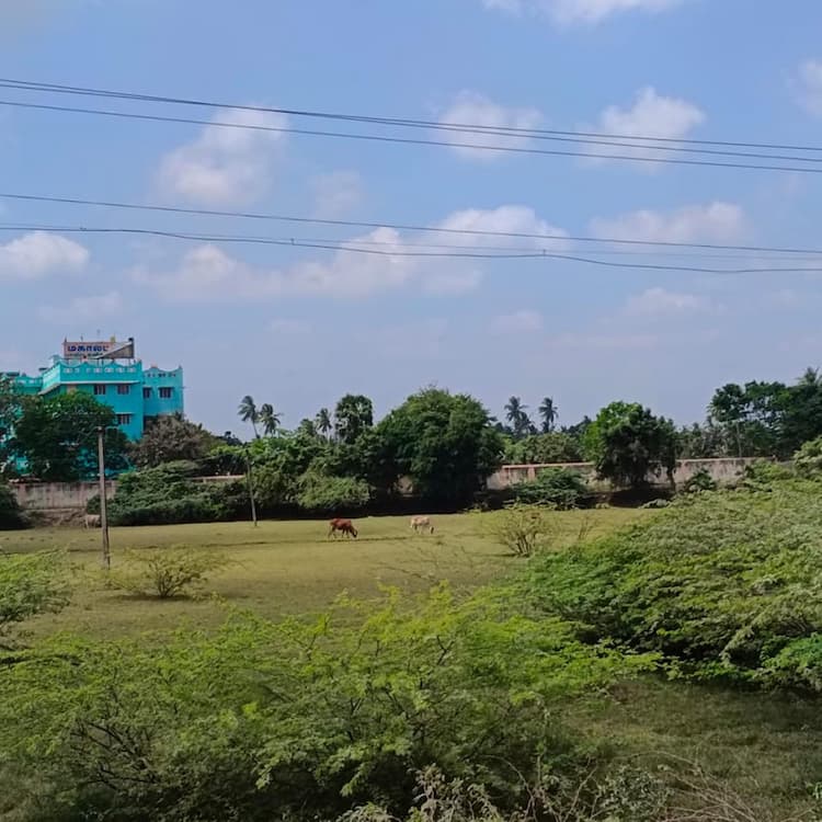 Single Property Image