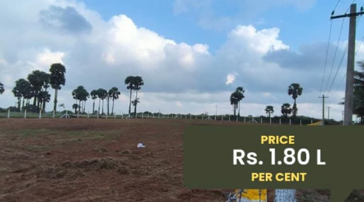 Land for Sale