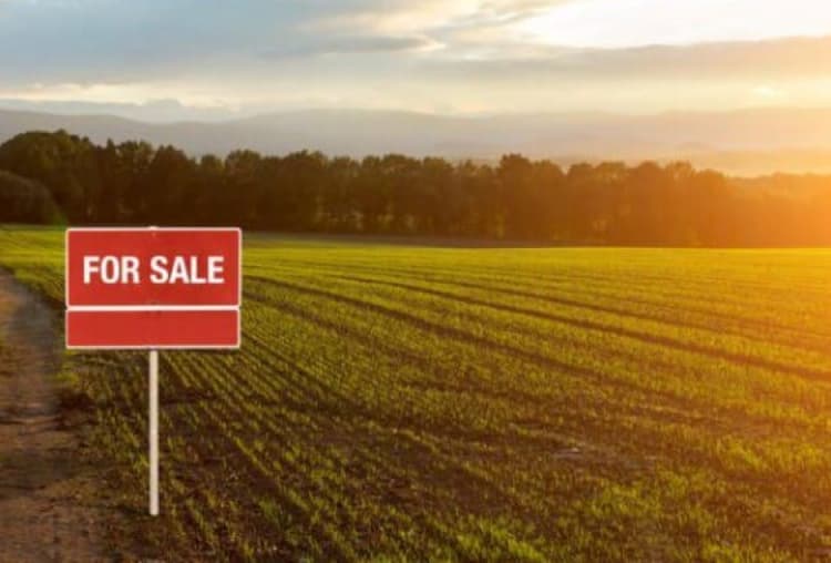 Plot for sale