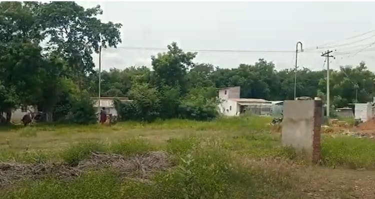 Land for Sales