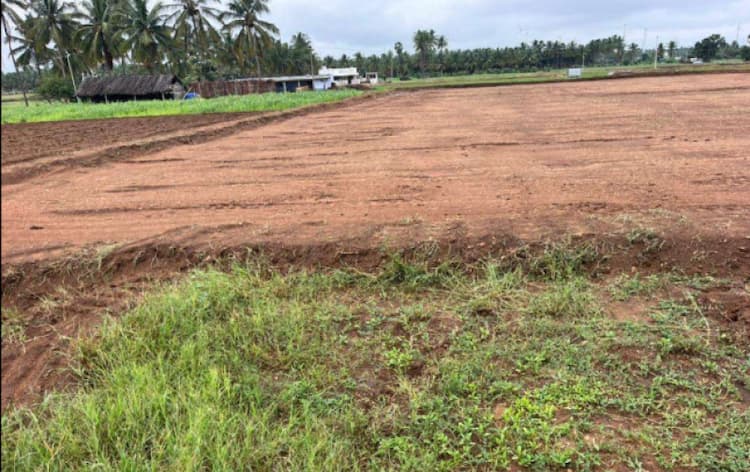 100 Cent Plot in Gudimangalam , Tirupur