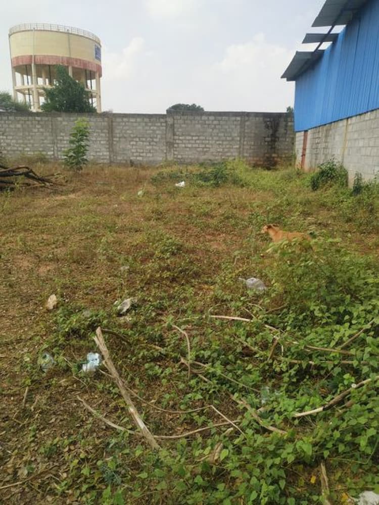 Plot sale