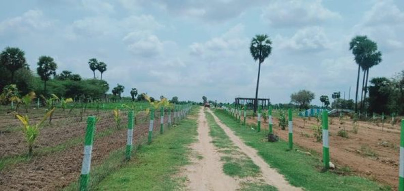 Plot sale
