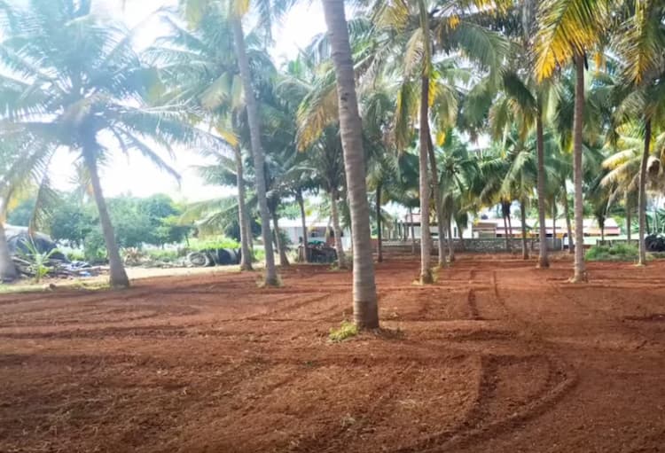 land for sales