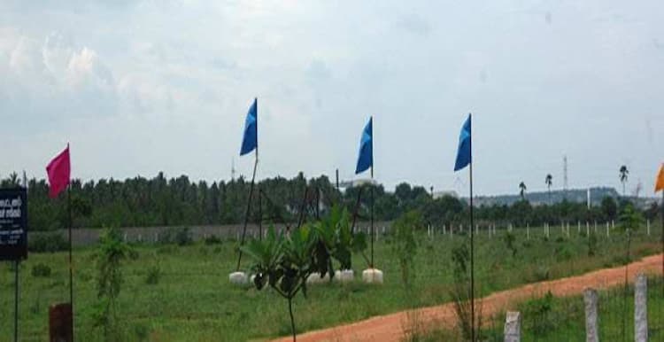 Plot sale