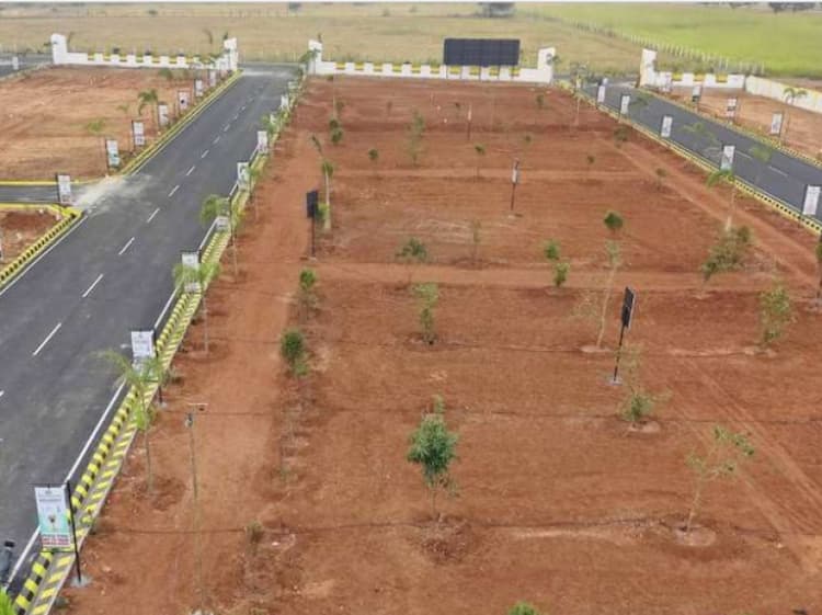 plot for sale