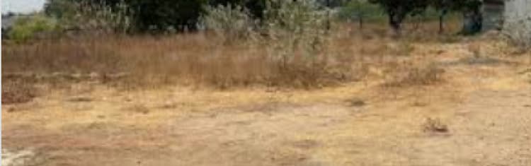 Land for sales