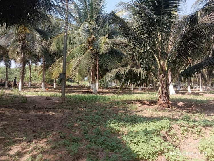 Land for Sale