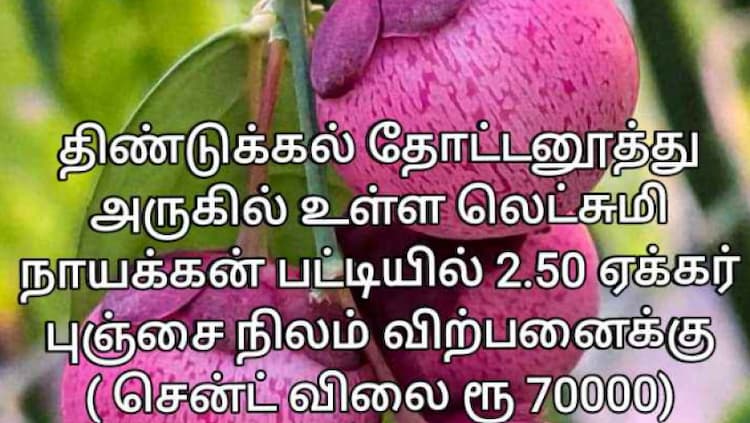 2.50 Acre land for sales