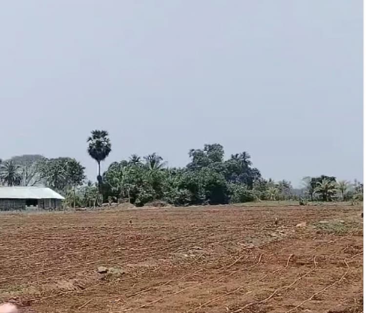 Land for sales