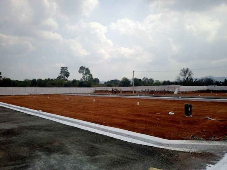 Plot sale