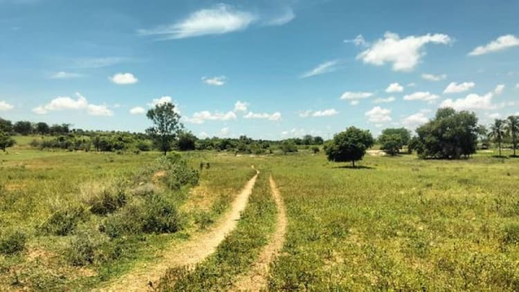 Single Property Image