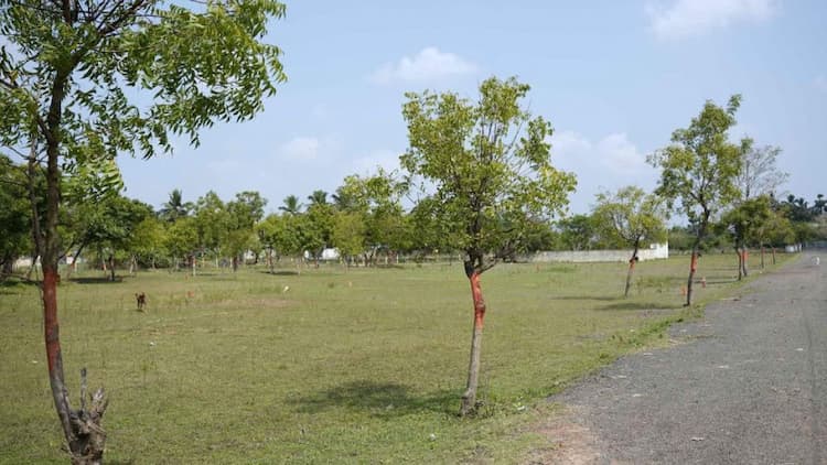 Single Property Image