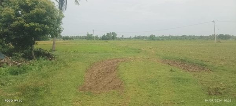 Farm land sale