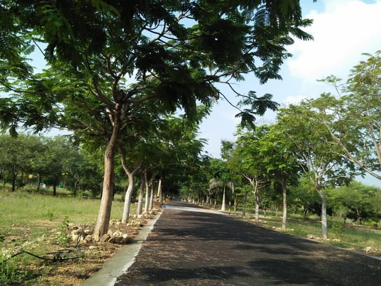 DTCP approved plots for sale