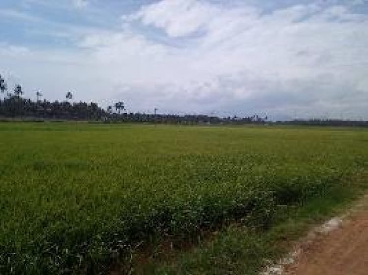 Land sale