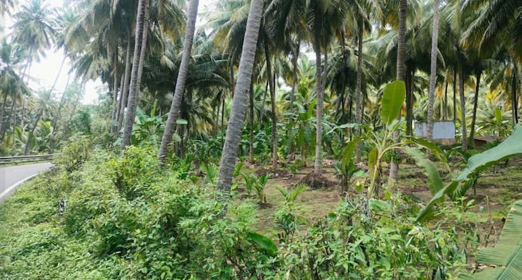 Single Property Image