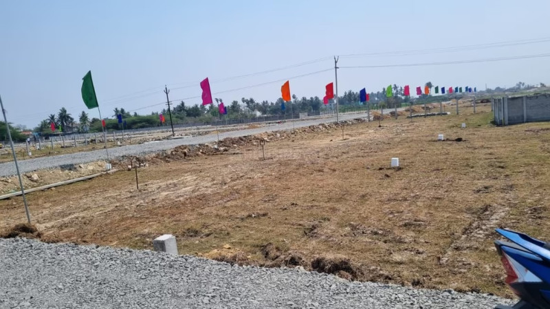 Residential Plot