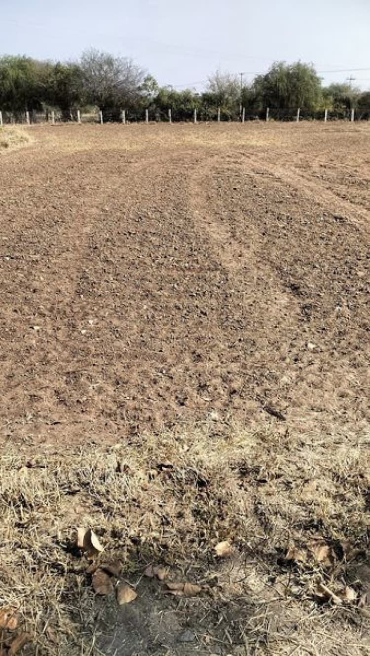 Farm Land For Sale
