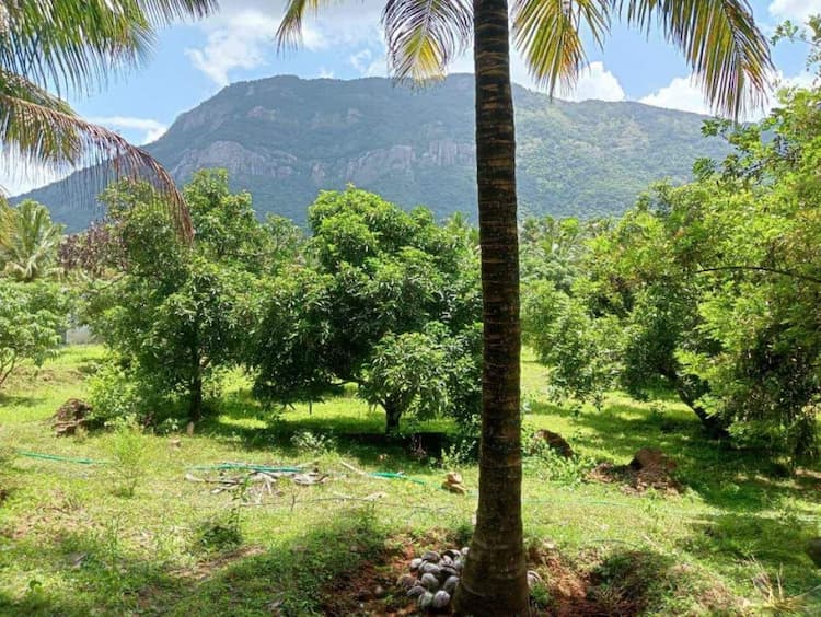 Single Property Image