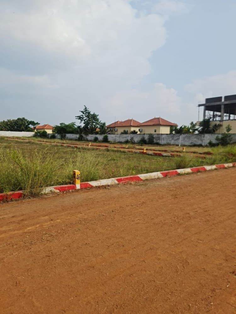 Land for Sale