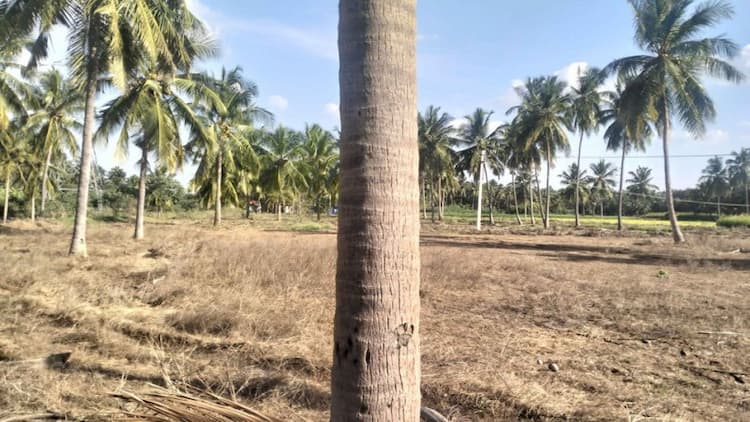 2 Acra 34 cent Agri thottam type Acra sale 